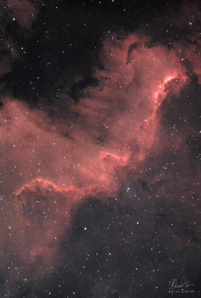 The Cygnus Wall