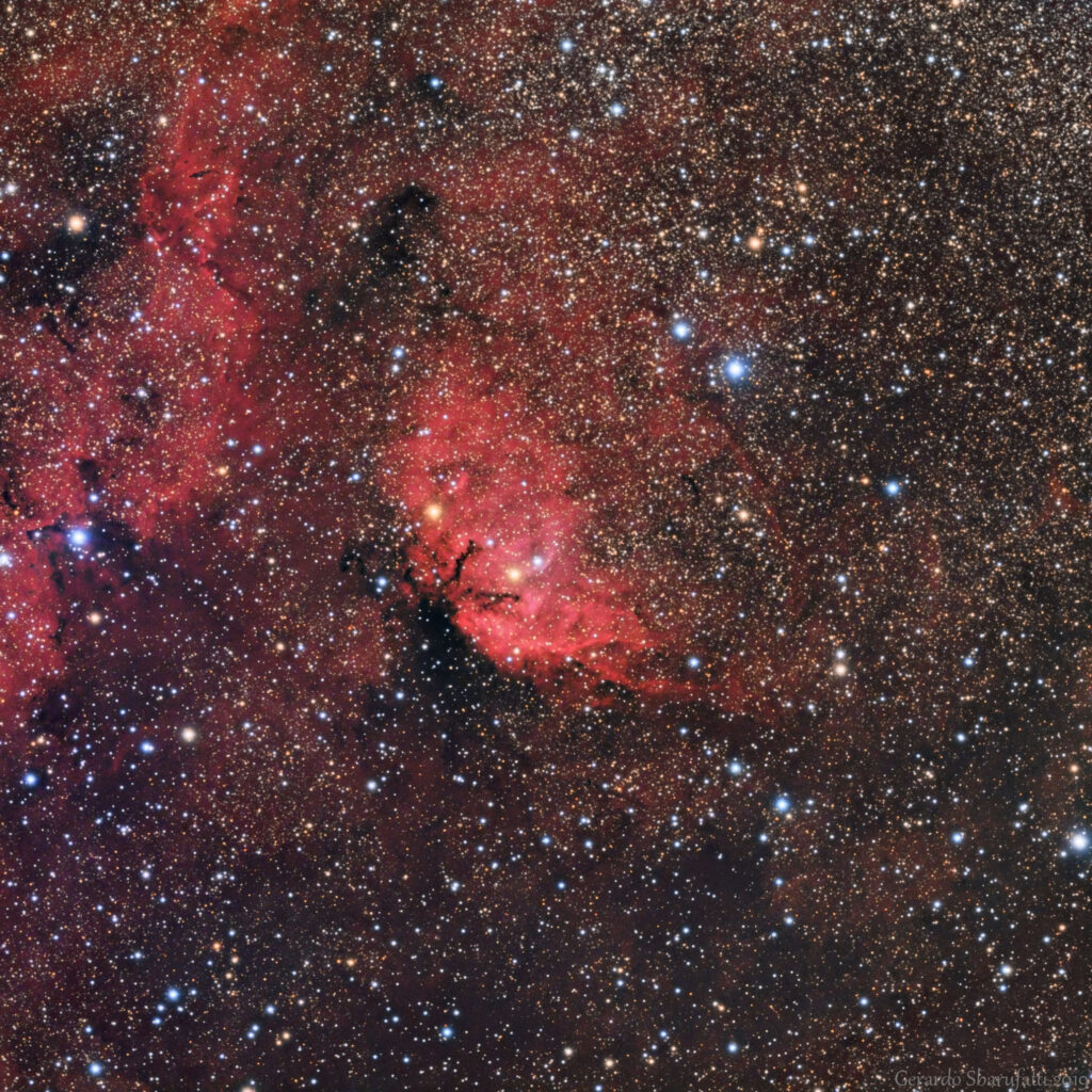Nebulosa Tulipano