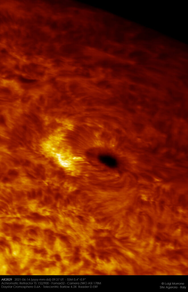 AR2829