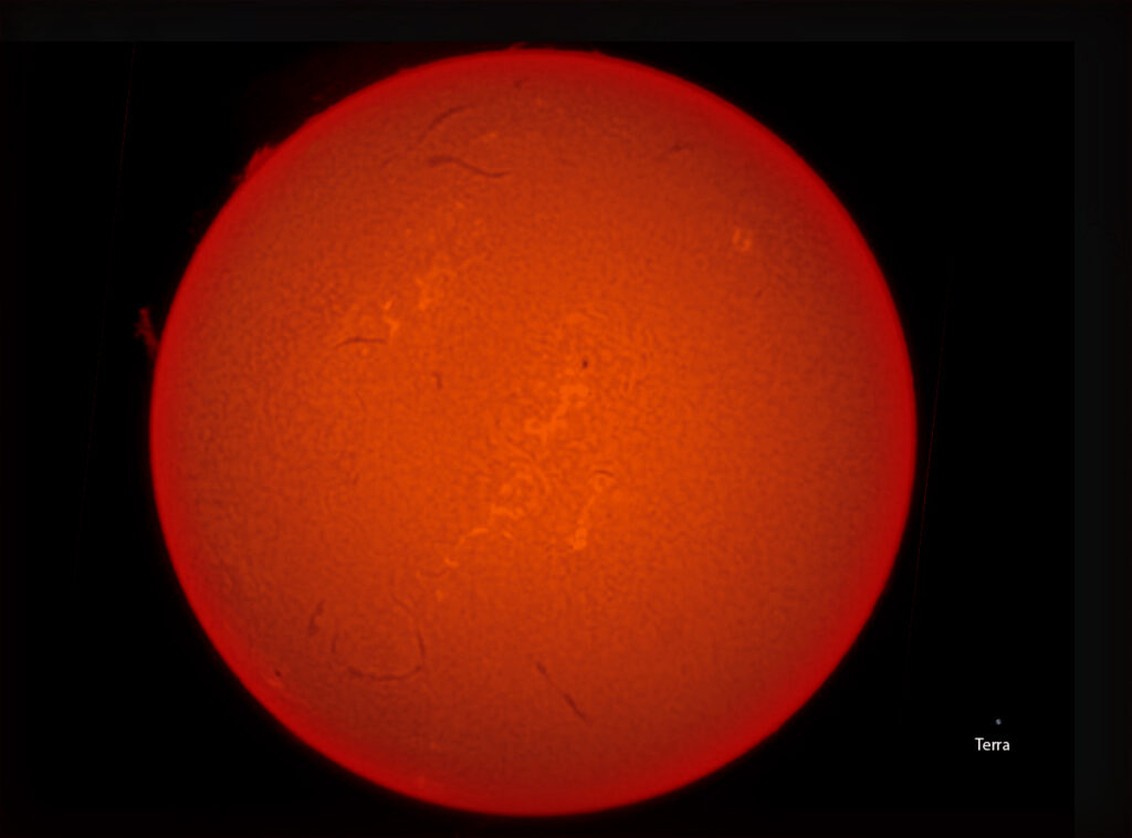 Sole