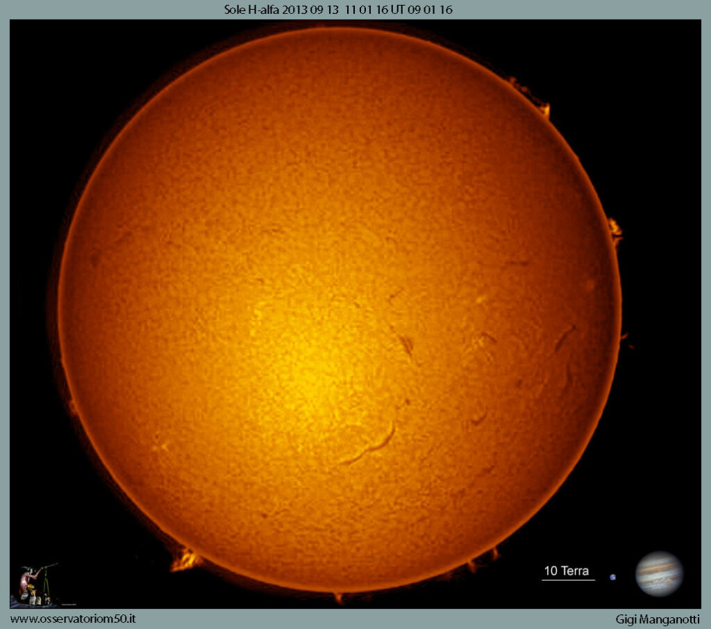 Sole
