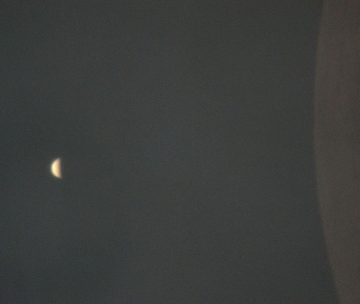 Occultazione di Venere