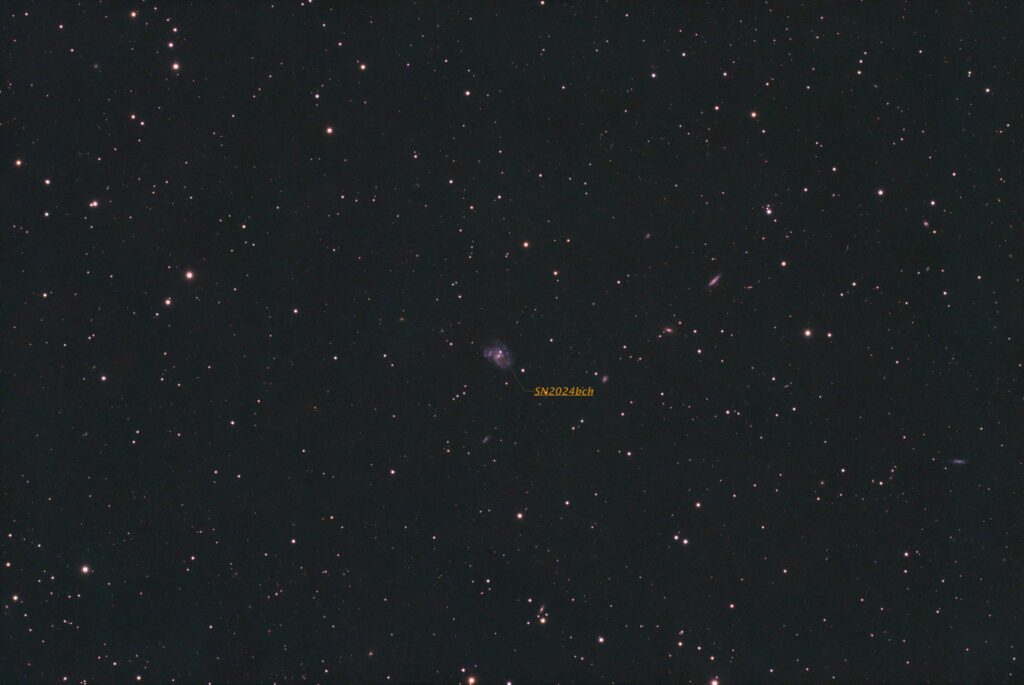 SN2024bch in NGC3206
