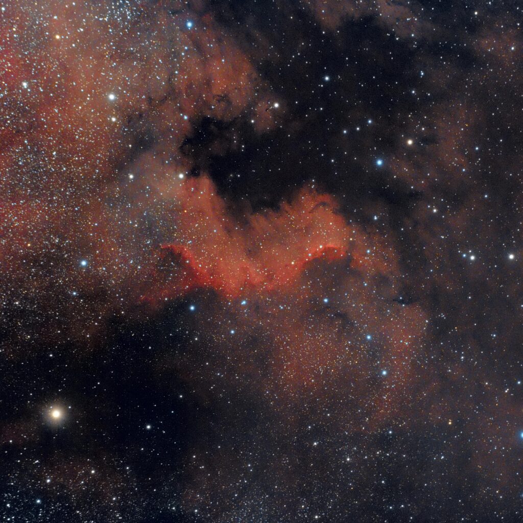 Il "muro" del Cigno