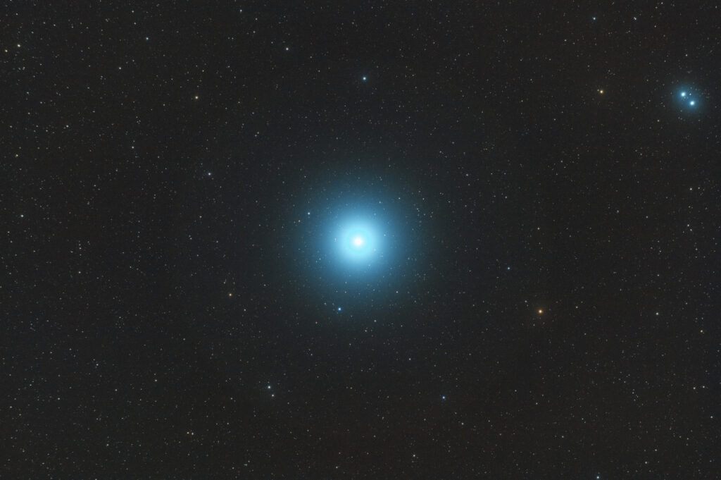Vega