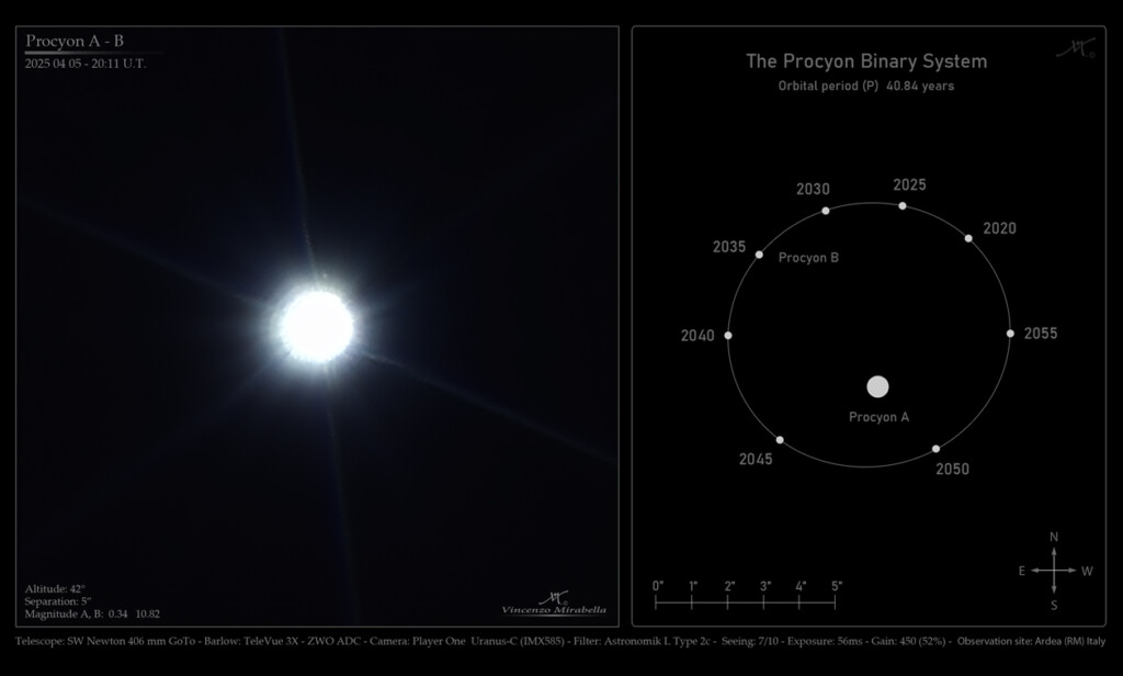 Procyon B