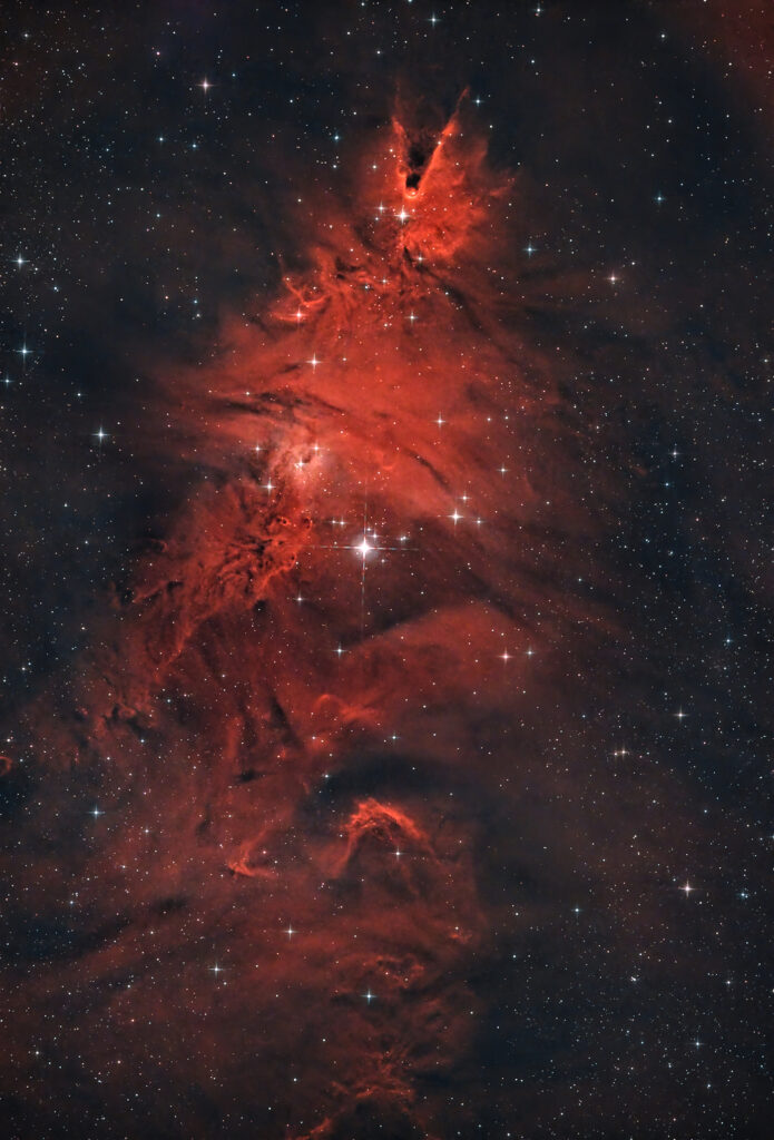 Nebulosa Albero di Natale