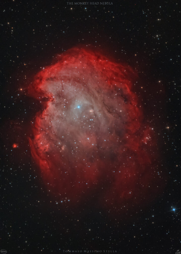 Nebulosa Testa di scimmia