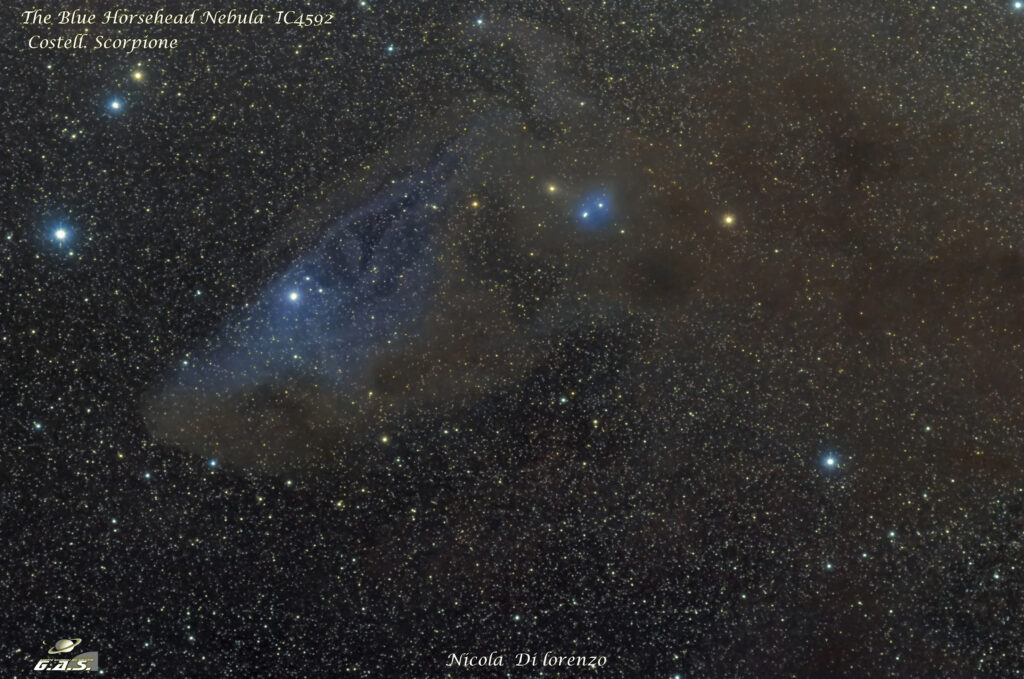 IC4592 The Horsehead Nebula + IC4601 costell. Scorpione