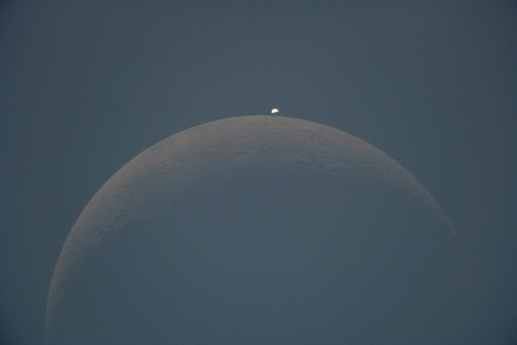Riapparizione di Venere