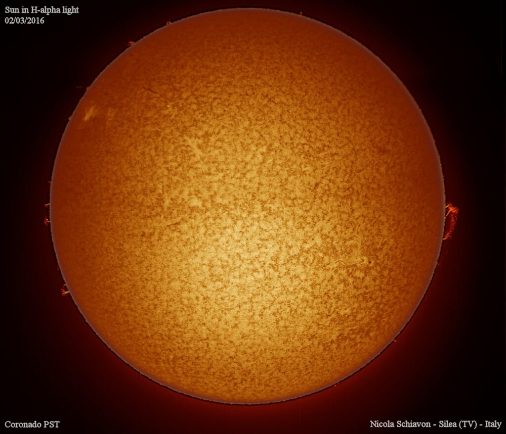Sole