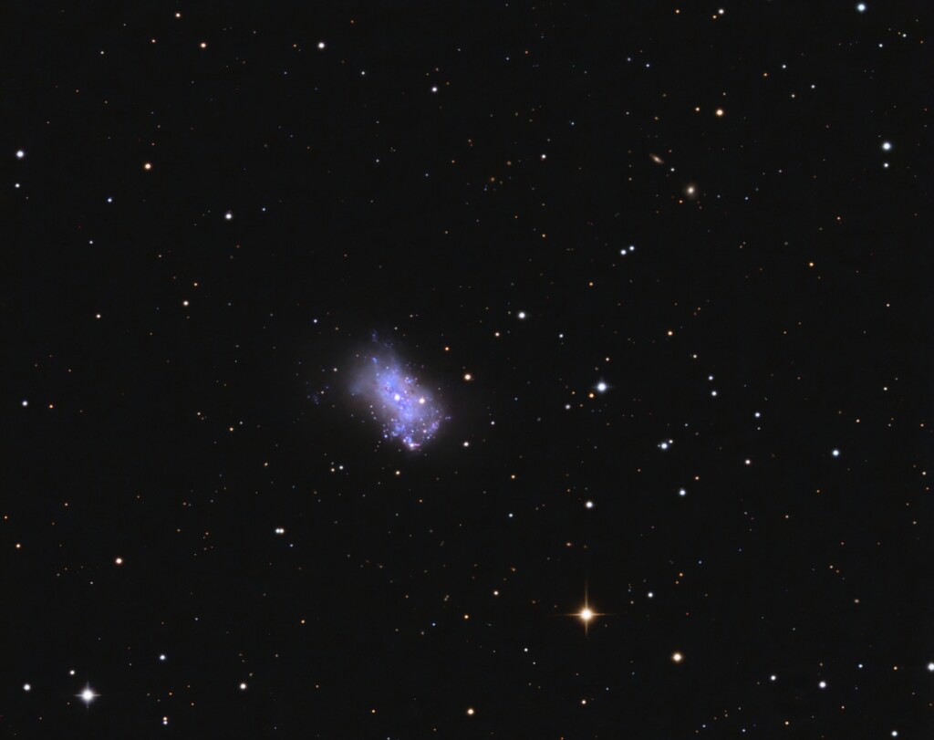 NGC 4449 Box Galaxy