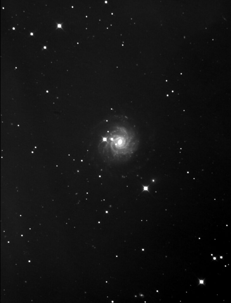 NGC3344