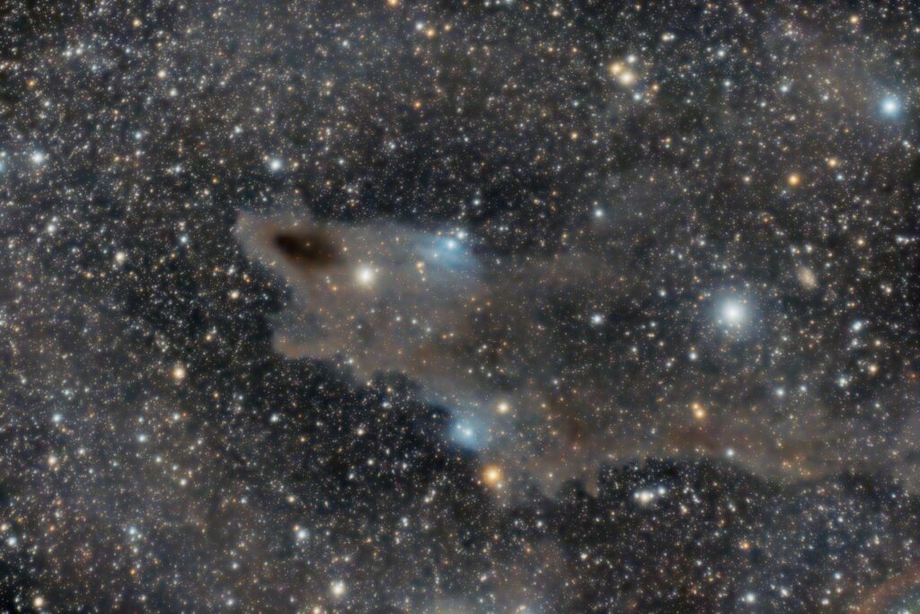 LDN 1235 Shark Nebula