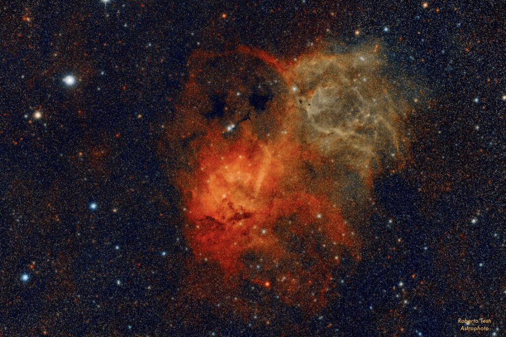 Lion Nebula