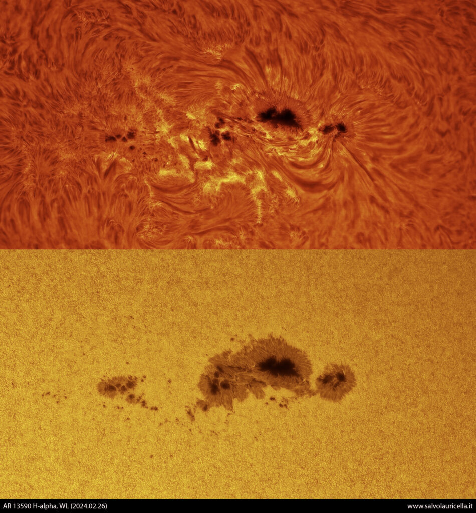 AR 13590 H-alfa/Luce bianca