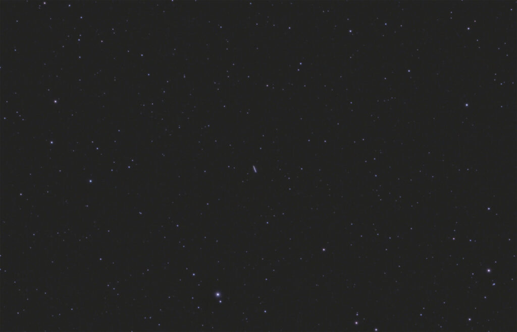 (27) Euterpe