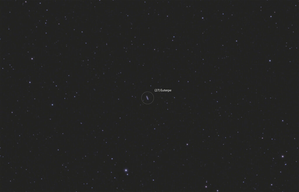 (27) Euterpe