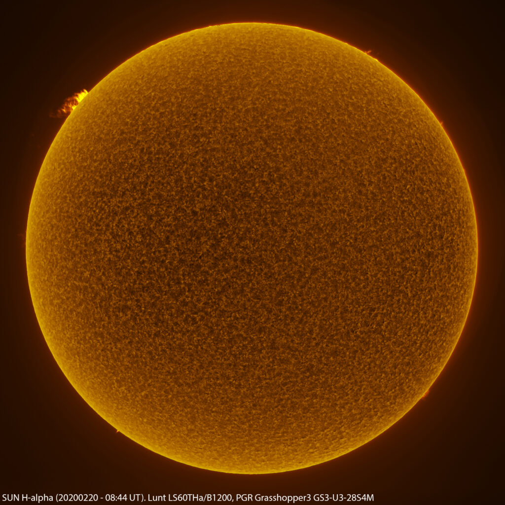 Sole in H-alpha