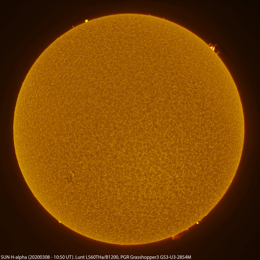 Sole in H-alpha