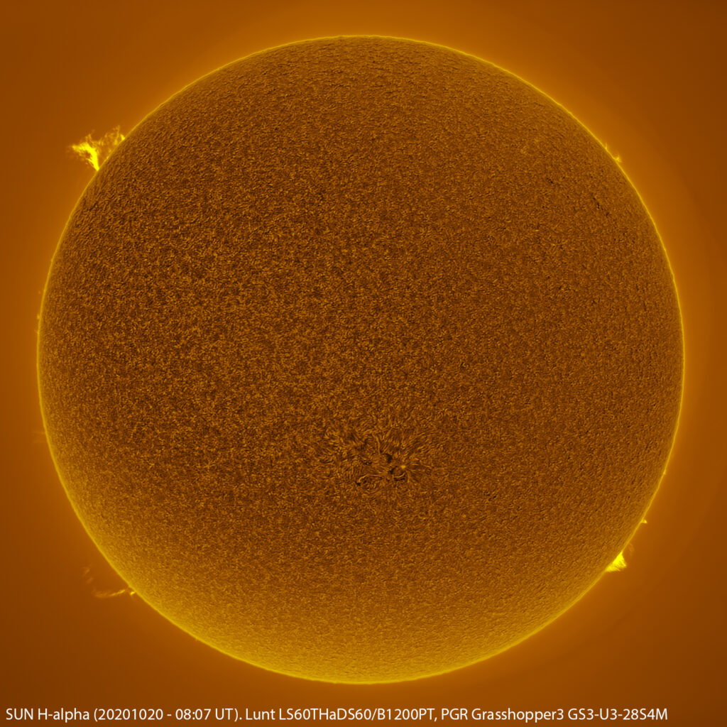 Sole in H-alpha