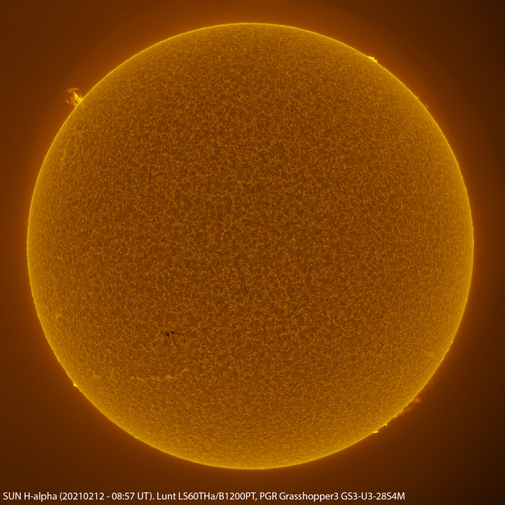 Sole in H-alpha