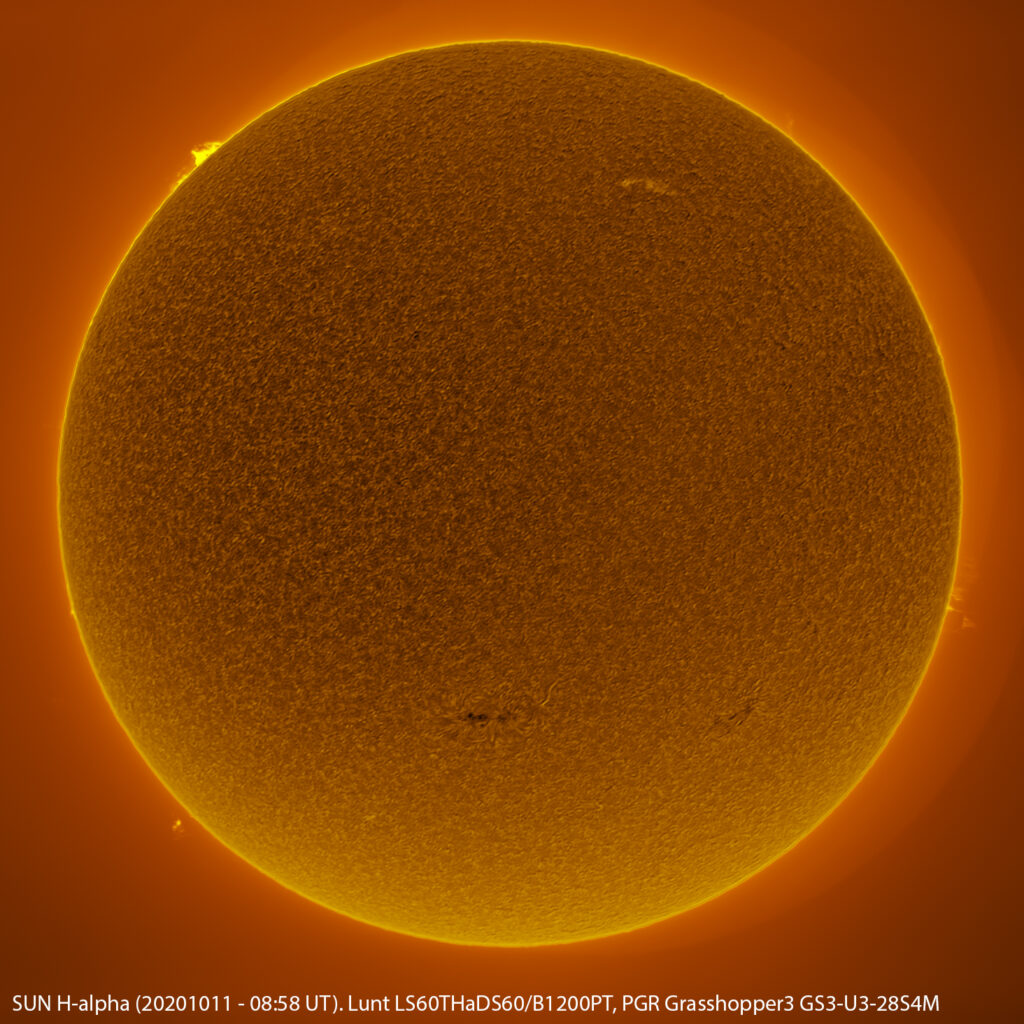 Sole in H-alpha