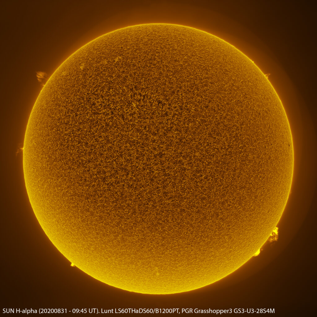 Sole in H-alpha