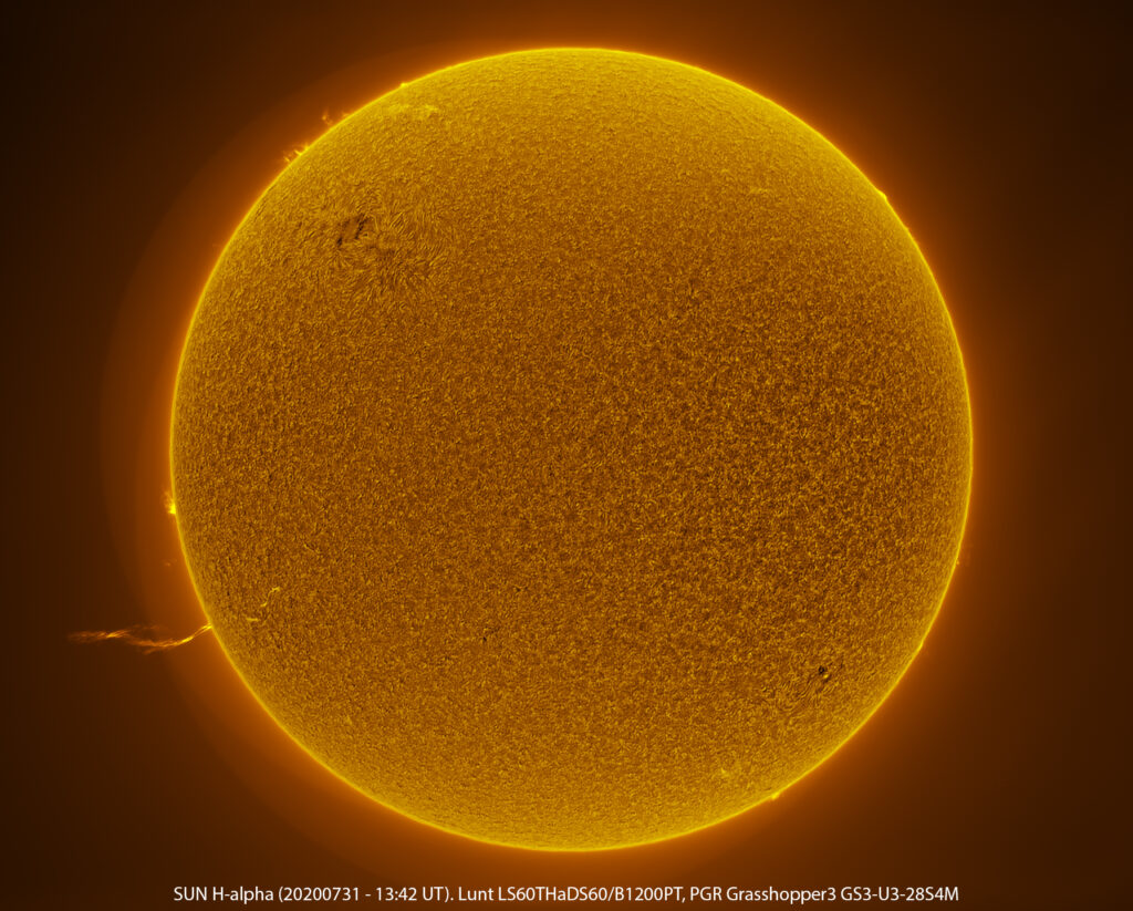Sole in H-alpha