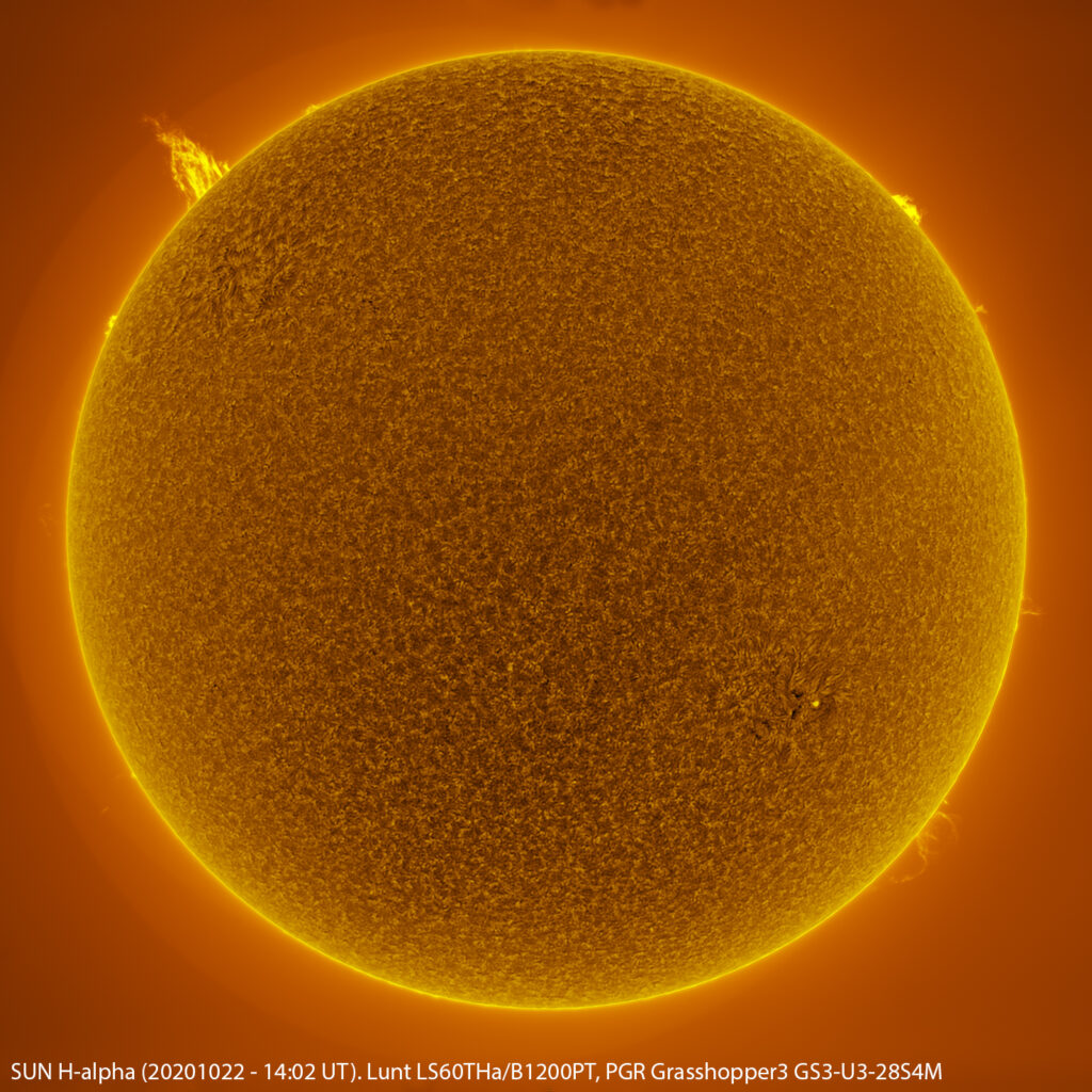 Sole in H-alpha