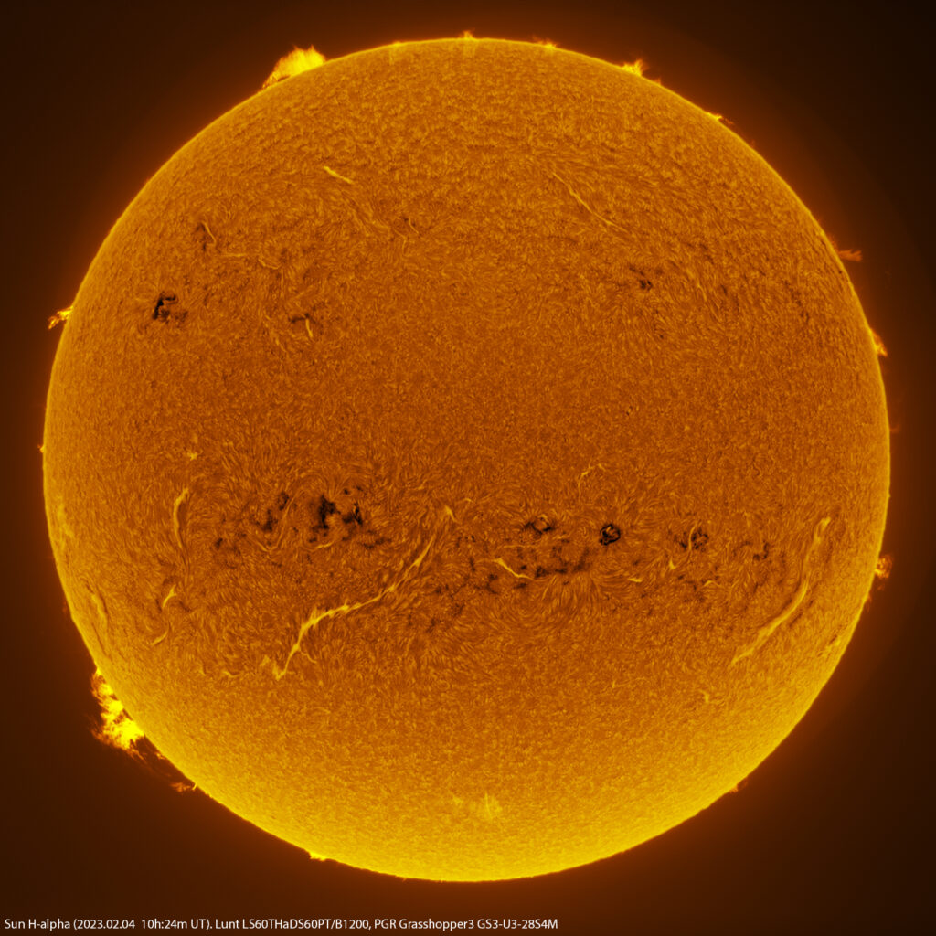 Sole in H-alpha
