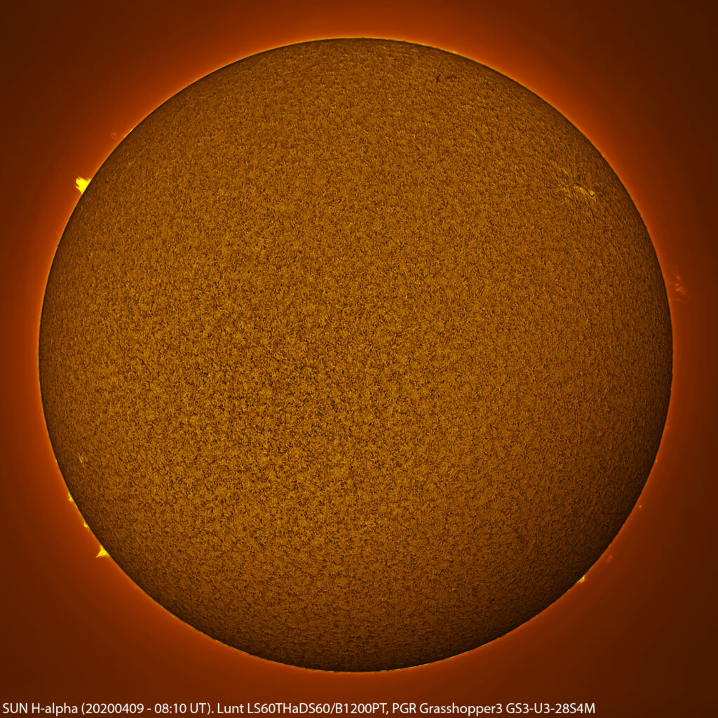 Sole in H-alpha