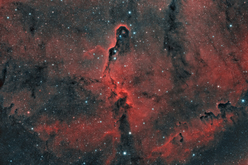 vdB 142 Elephant’s Trunk Nebula