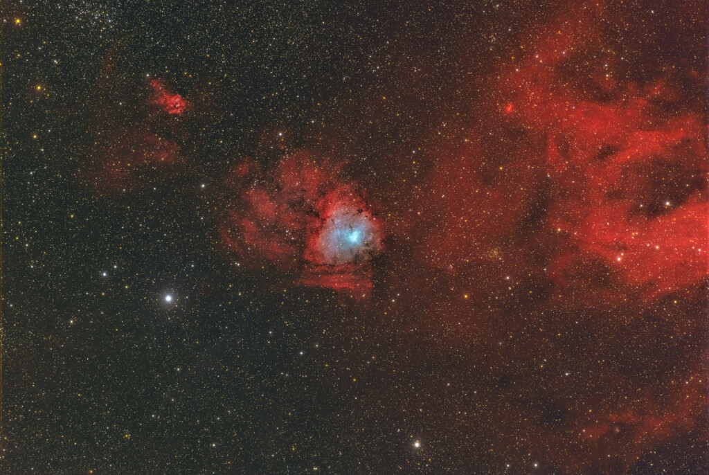 Impronta fossile di dinosauro (NGC 1491)