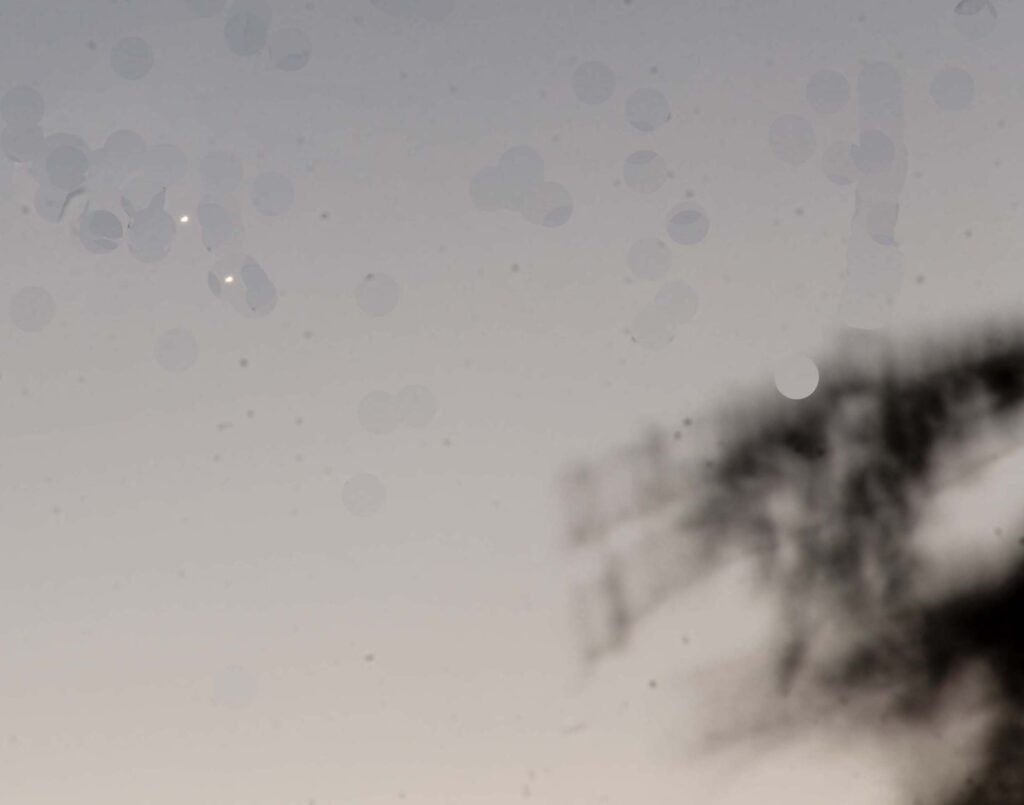Giove e Venere