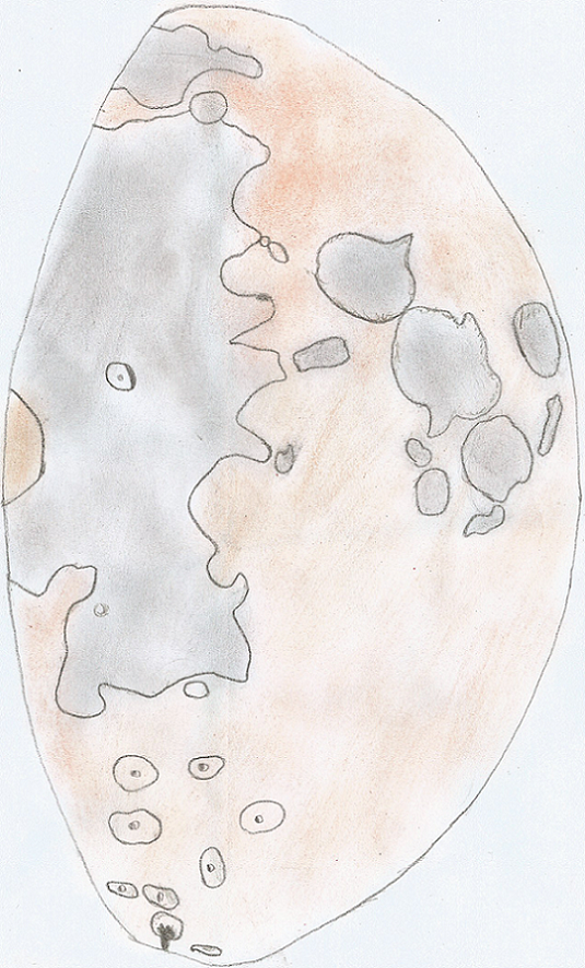 La Luna, il mio disegno completo