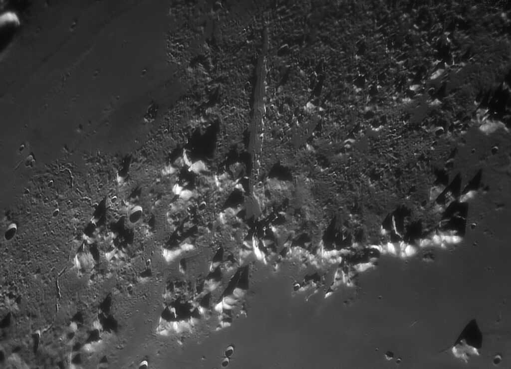 Vallis Alpes