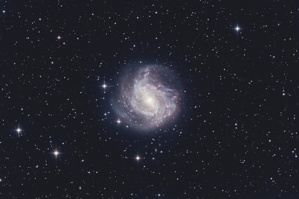 M83