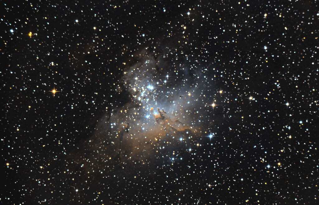 M16 acquila