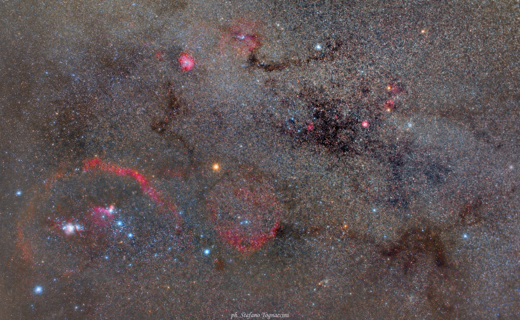 Orion & Co.