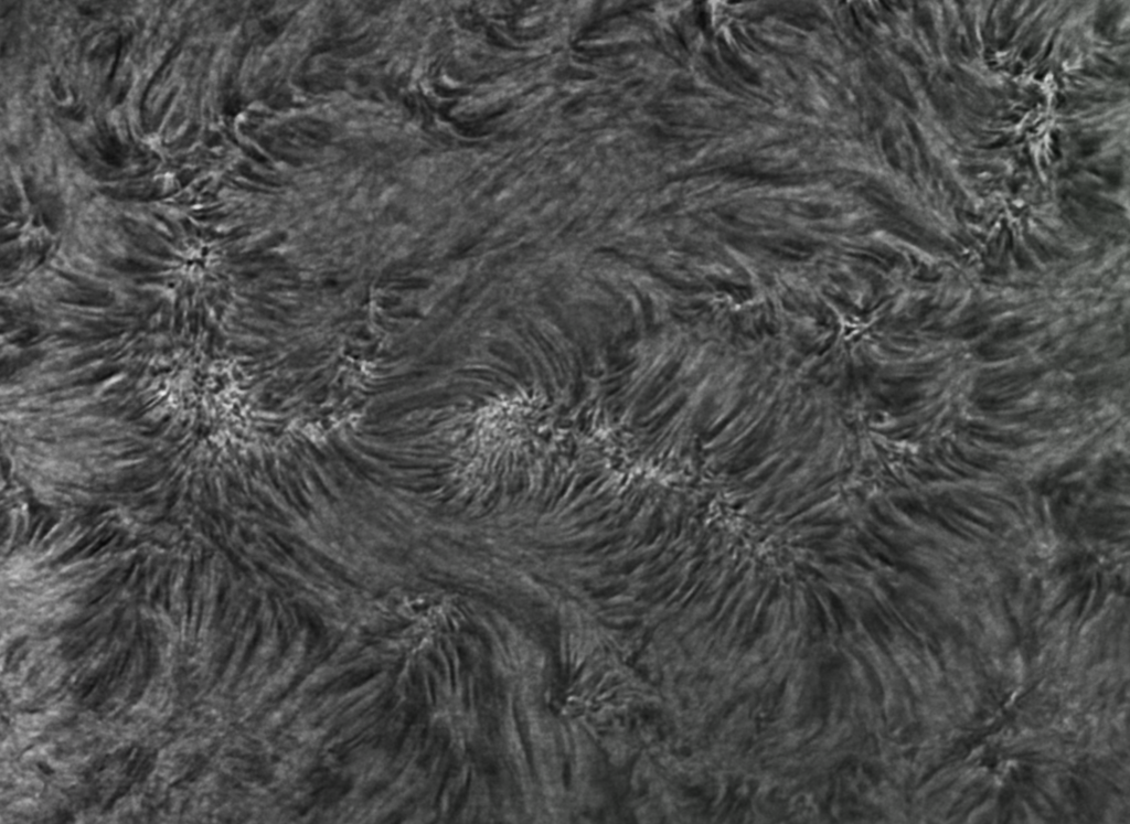 Chromosphere