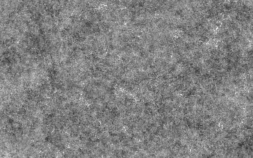 Calcium H line