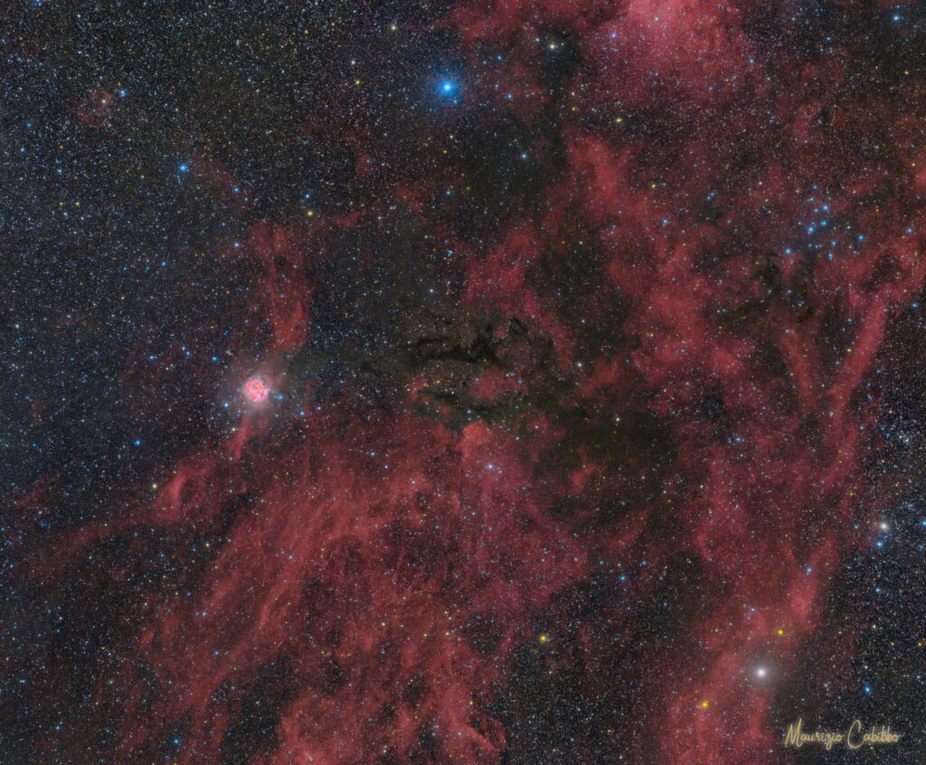IC 5146 widefield