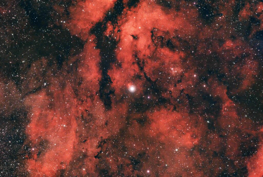 Nubi Molecolari in IC 1318